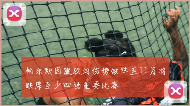 帕尔默因腹股沟伤势缺阵至11月将缺席至少四场重要比赛