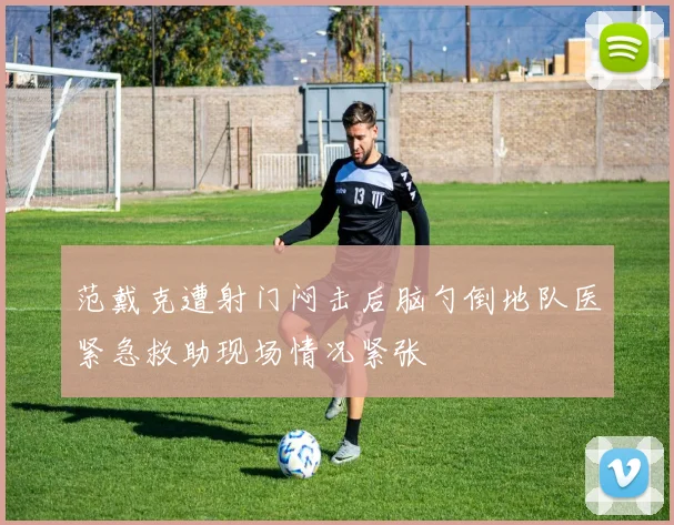范戴克遭射门闷击后脑勺倒地队医紧急救助现场情况紧张