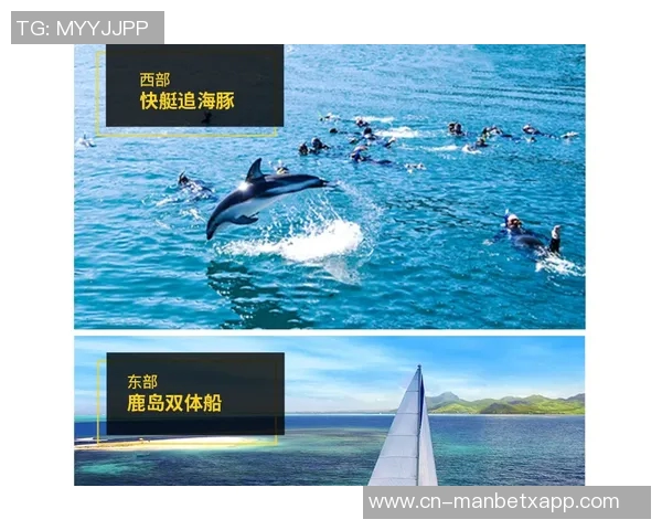 保罗的故事:从个人视角出发的独特叙述与其他视角的稀缺探索 保罗的故事:从个人视角出发的独特叙述与其他视角的稀缺探索